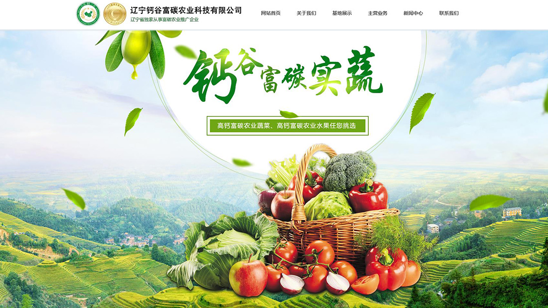 农副产品网站案例
