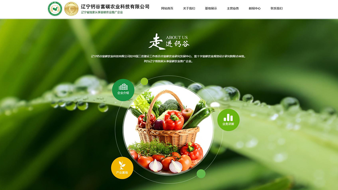 农副产品网站案例