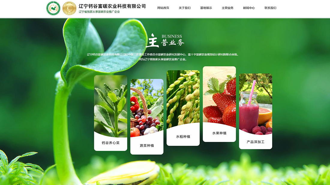 农副产品网站案例