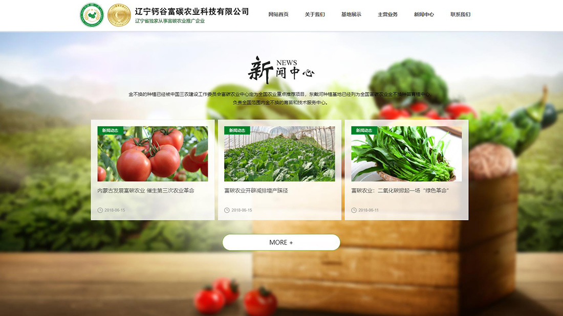 农副产品网站案例