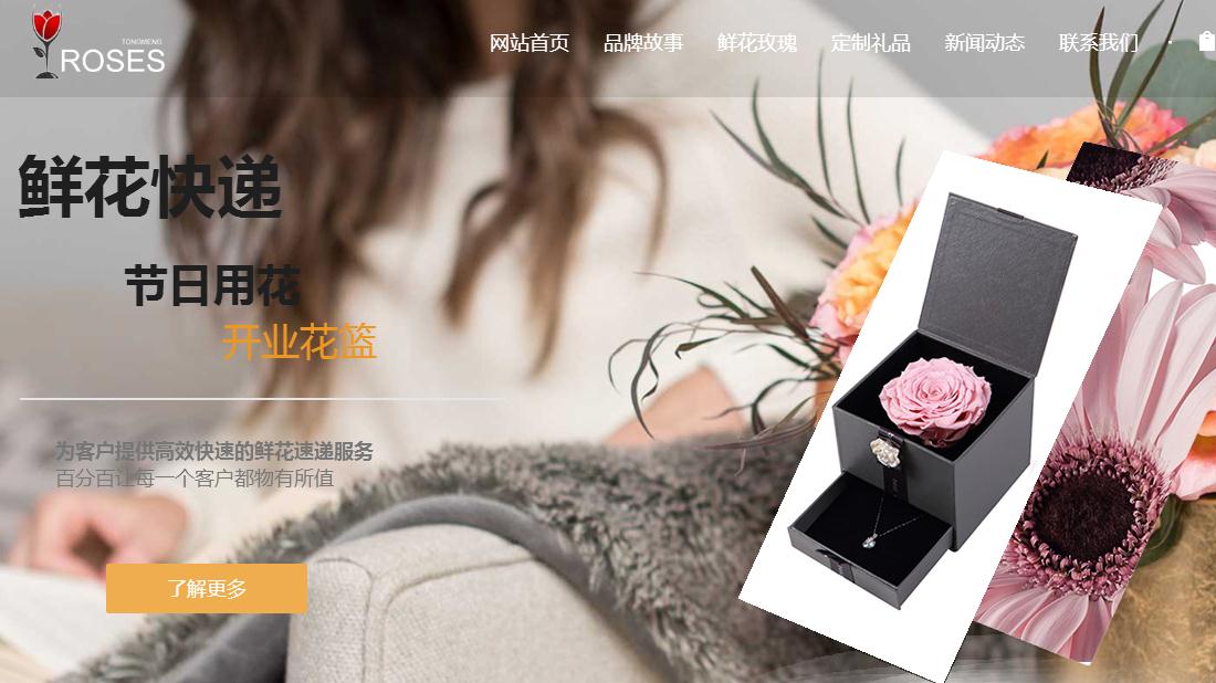 商业服务网站案例