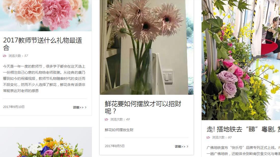 商业服务网站案例