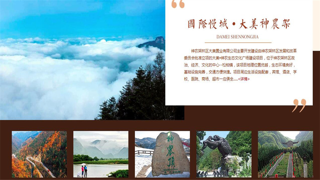 房地产网站案例