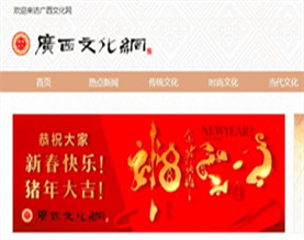 广西南宁奔腾文化交流有限公司