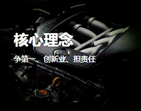 瑞安市瑞生汽车零部件制造有限公司