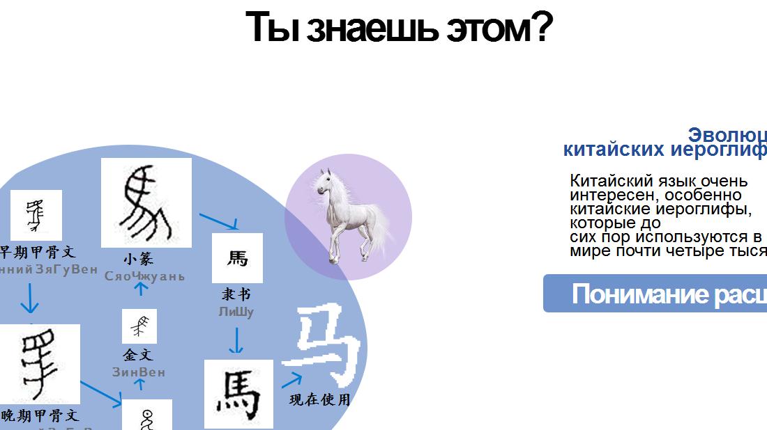 外贸进出口网站案例