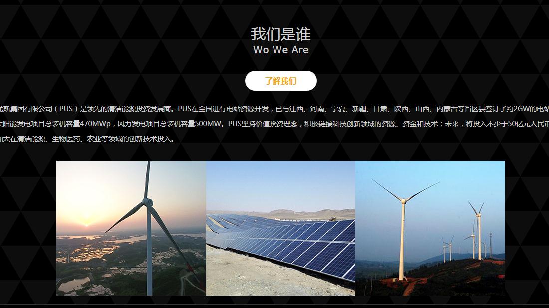 其它网站案例