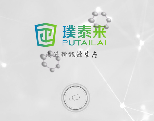 上海璞泰来新能源科技股份有限公司