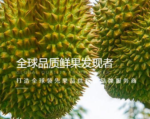 重庆洪九果品股份有限公司