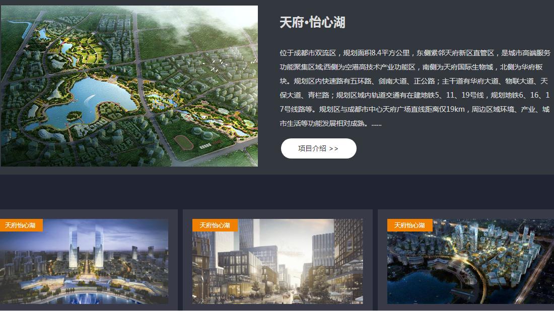 其它网站案例
