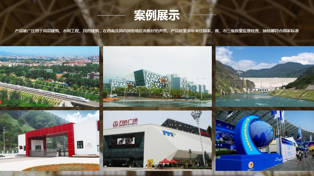 其它网站案例