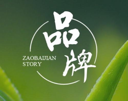 四川早白尖茶业公司