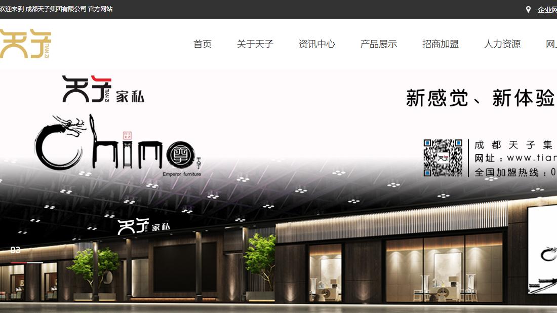 其它网站案例
