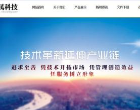 山东盛阳金属科技股份有限公司
