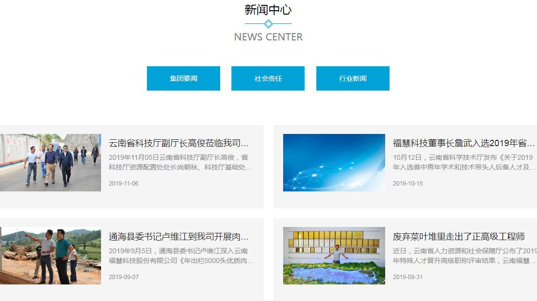 商业服务网站案例