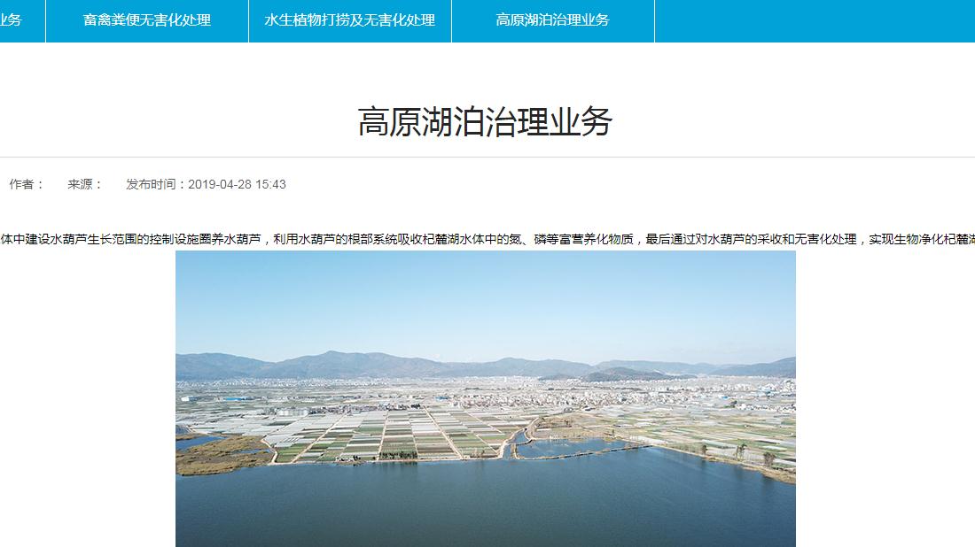 商业服务网站案例