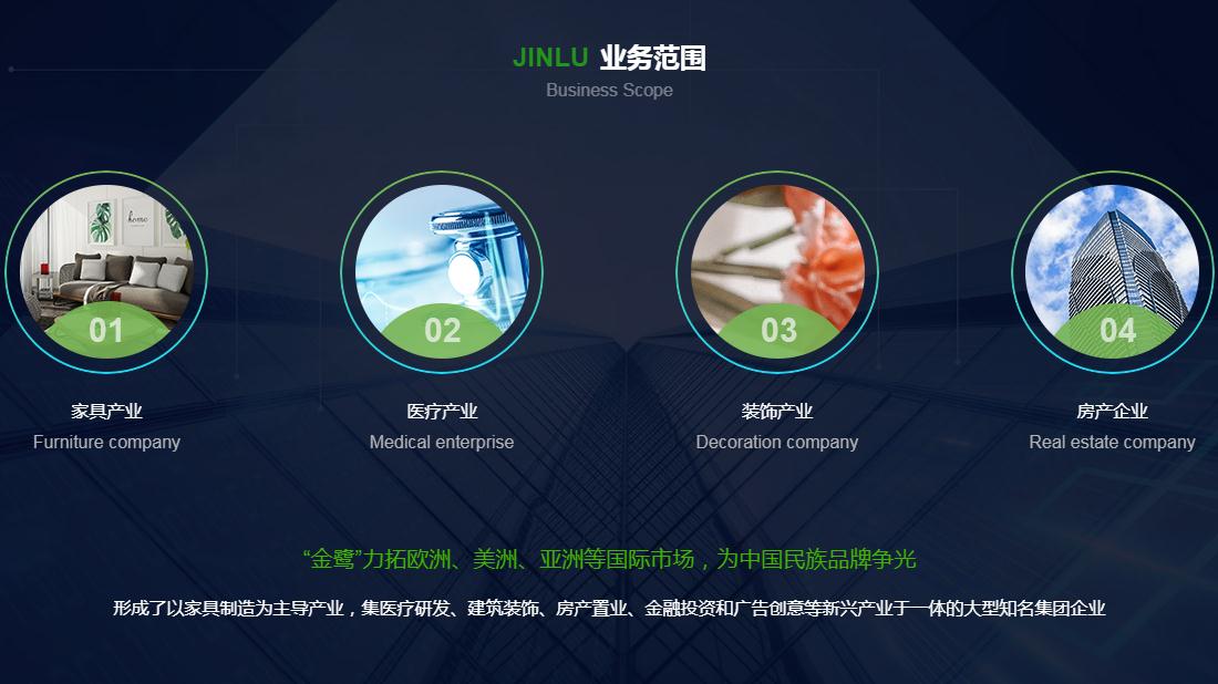 其它/房地产/医疗健康网站案例