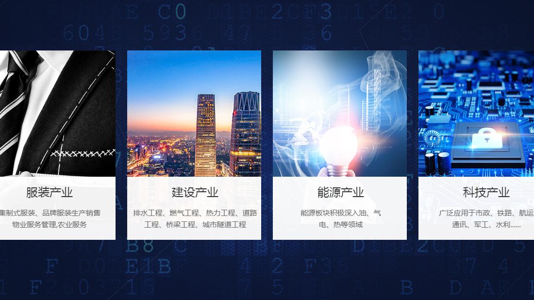 其它/房地产/纺织服装网站案例