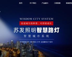 苏发照明工程集团有限公司