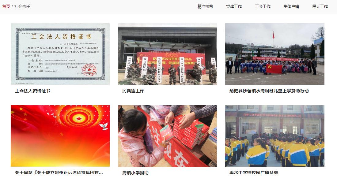 其它/房地产网站案例