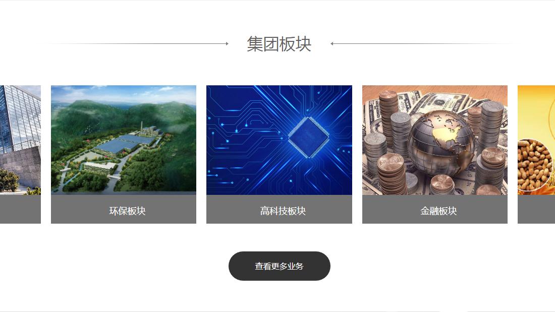其它/房地产网站案例