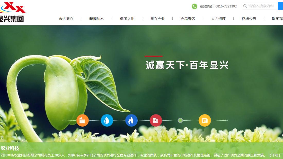 房地产/食品制造网站案例