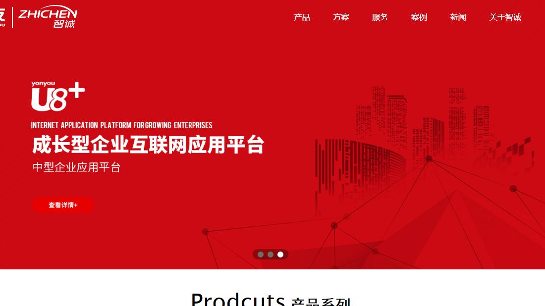 其它网站案例