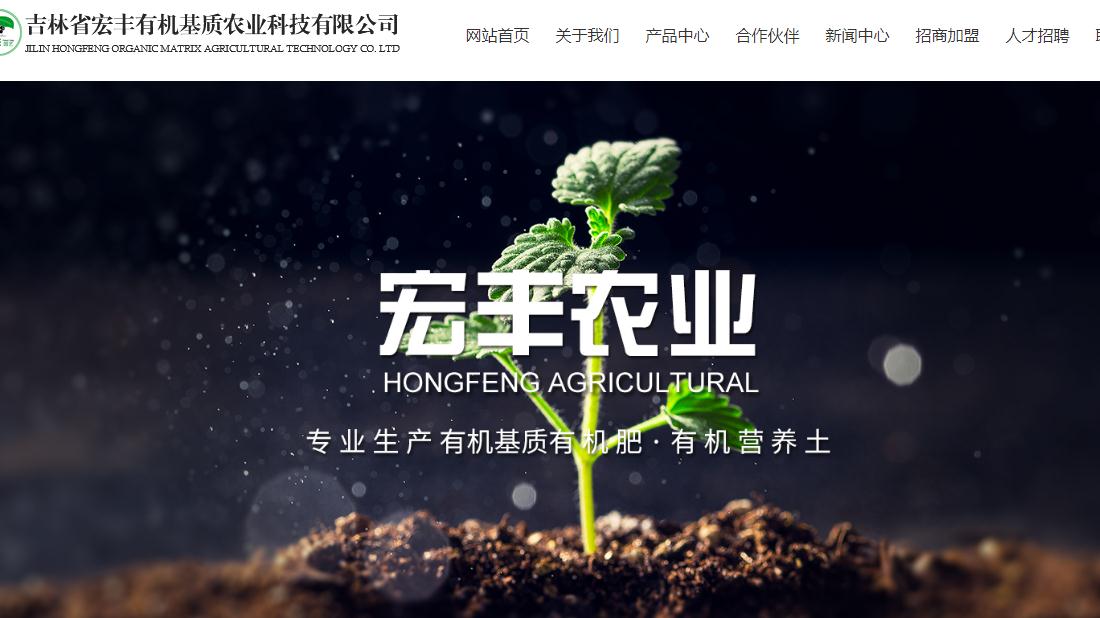 网站案例