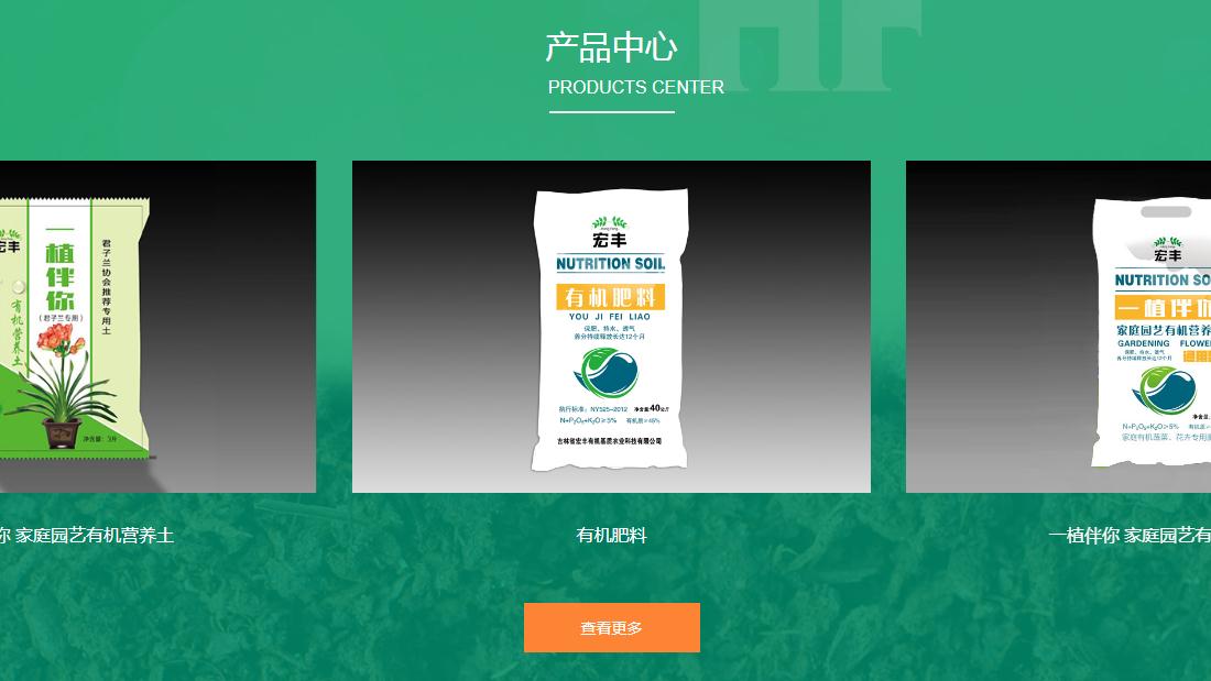 网站案例