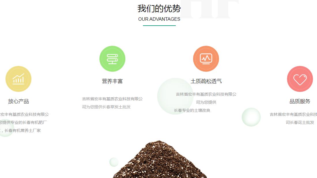 网站案例