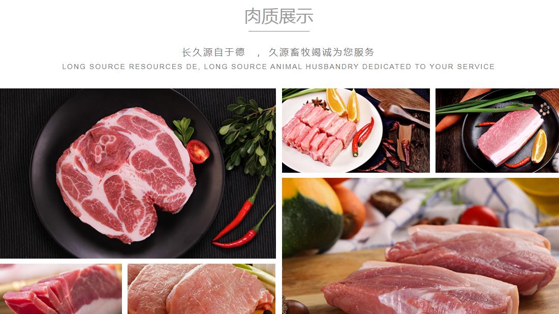 农副产品网站案例