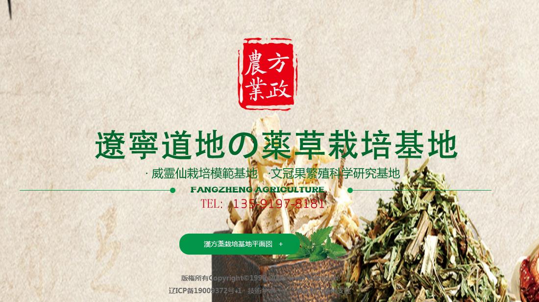 医疗健康网站案例