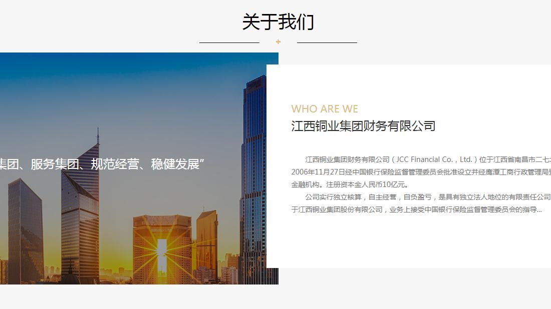 其它网站案例