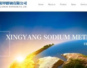 河南省荥阳甲醇钠有限公司