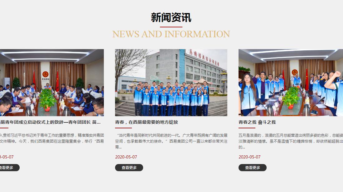 其它网站案例