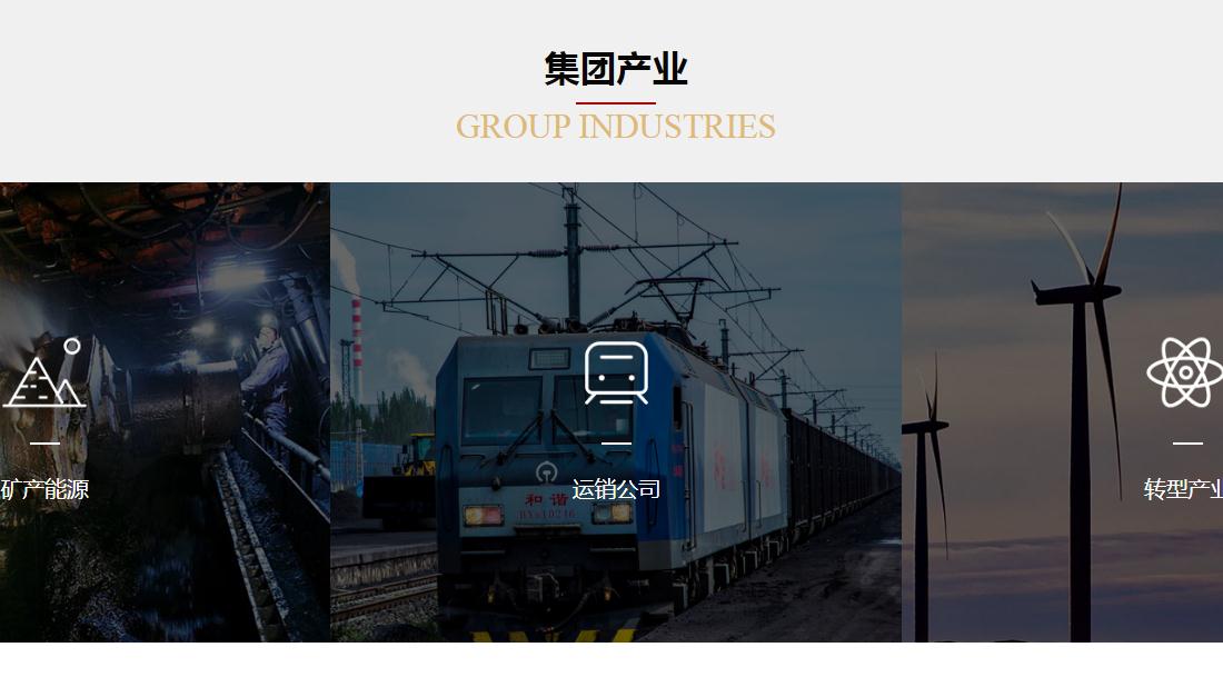 其它网站案例