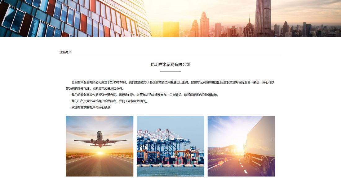 外贸进出口网站案例