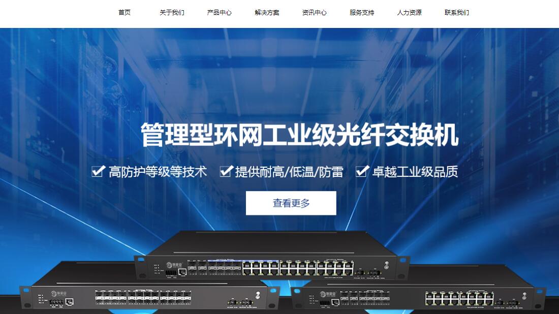 IT互联网网站案例