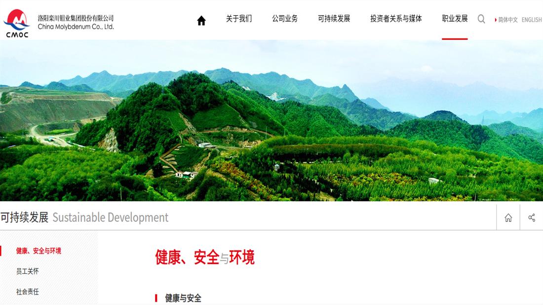 其它网站案例