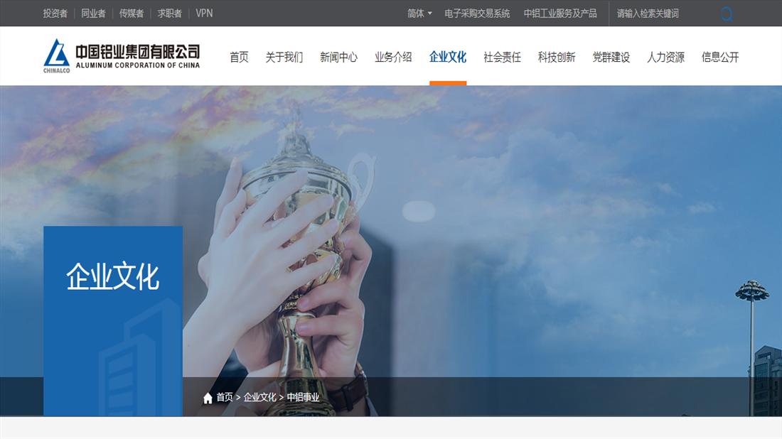 其它网站案例