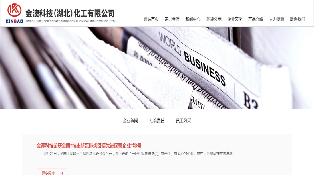 其它网站案例