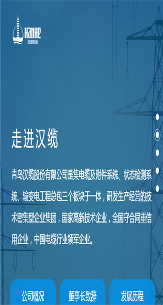 电子电工网站案例