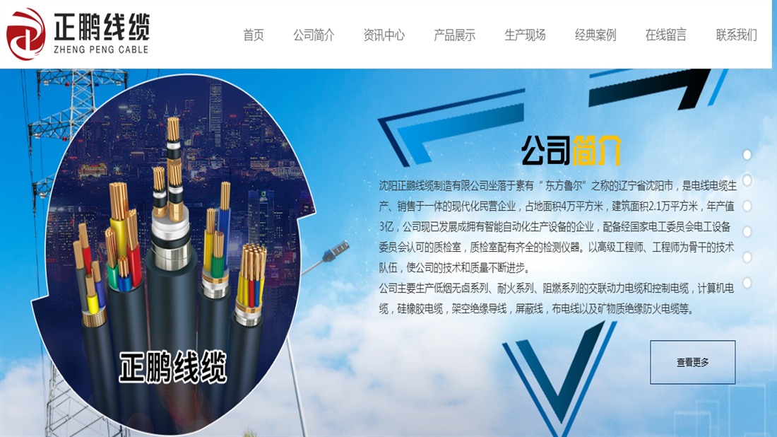 电子电工网站案例