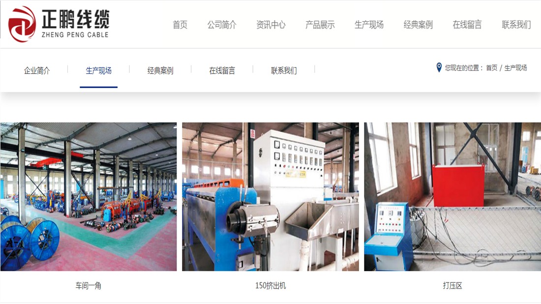 电子电工网站案例