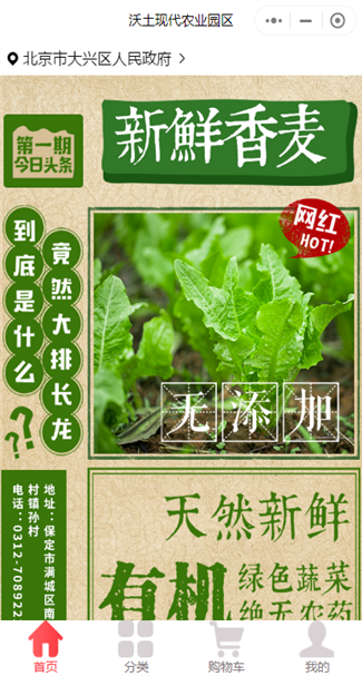 网站案例