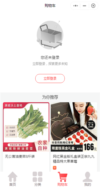 网站案例