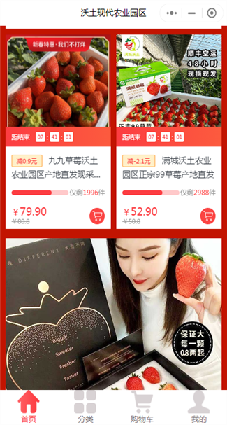 网站案例