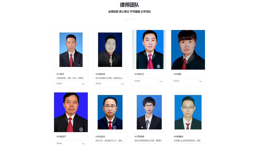 其它网站案例