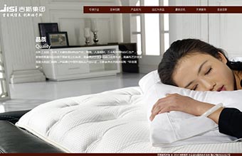 吉斯集团 网站建设