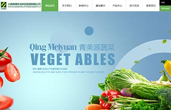 云南青美农业科技发展有限公司 